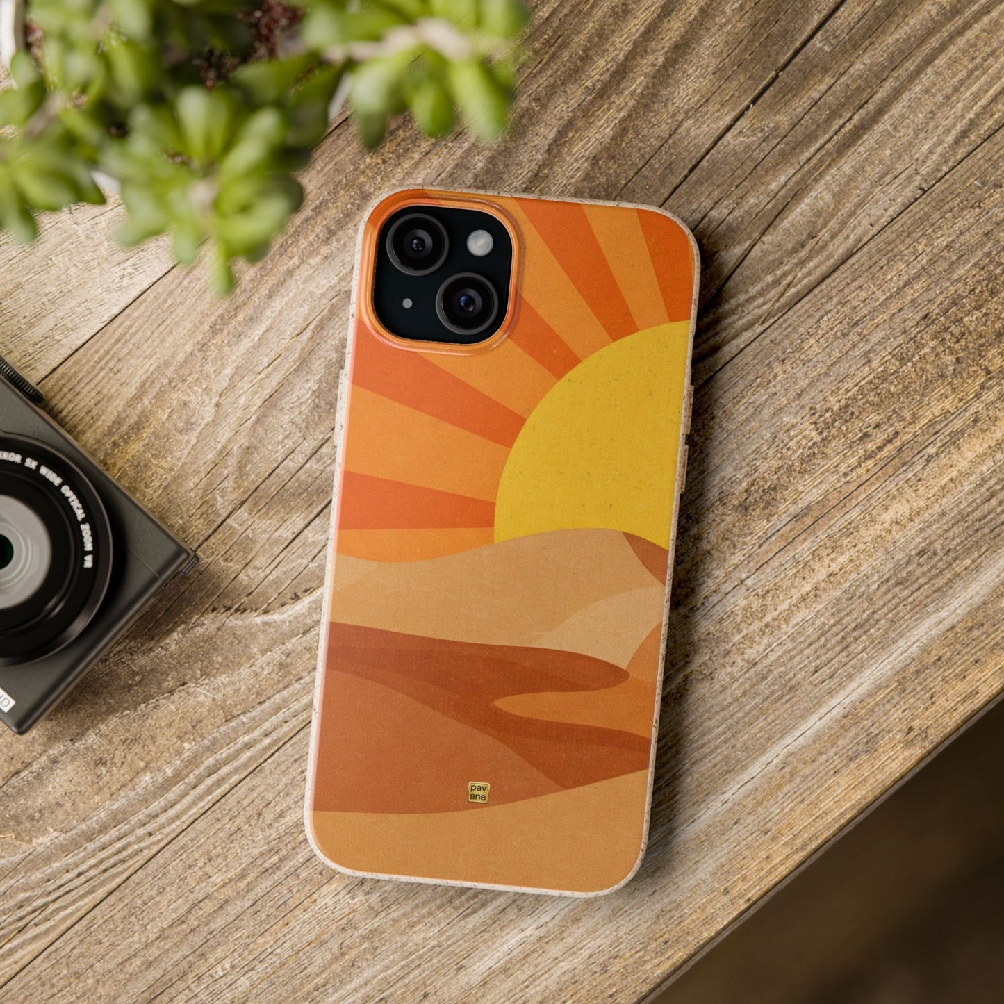 sun and sand