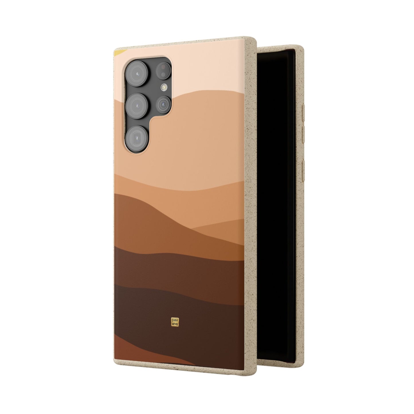 sand dunes